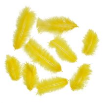 Penas curtas 30g amarelo dourado