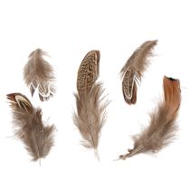 Itens Penas para diversas ideias de artesanato, design criativo e decoração, 5 cm, 3 g