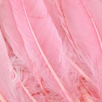 Itens Penas para artesanato Penas de ganso rosa 18 cm - 20 cm 20g x 2 unidades