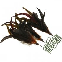 Itens Decoração de penas coloridas em mola de arame decoração de mola H35cm 3 pcs