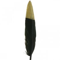 Penas decorativas pretas, penas reais douradas para artesanato 12-14cm 72p