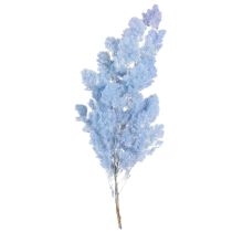 Itens Aspargo decorativo de penas azul claro com flores secas, 55-70 cm