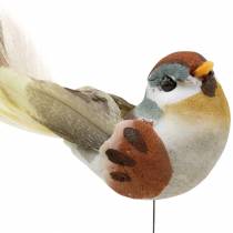 Pássaro em um fio 5,5 cm colorido 9pcs