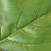 Itens Ficus lyrata artificial de 120 cm para decoração de sala de estar.