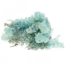 Decoração musgo azul claro água-marinha rena musgo artesanato musgo 400g