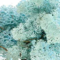 Decoração musgo azul claro água-marinha rena musgo artesanato musgo 400g