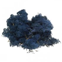 Deco musgo azul musgo seco para artesanato colorido 500g