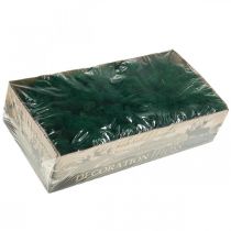 Itens Musgo Decorativo Verde Musgo Islandês Musgo Preservado para Artesanato 400g