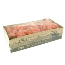 Itens Musgo decorativo musgo da Islândia rosa 400g