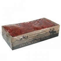 Itens Musgo Decorativo Vermelho Siena Musgo Natural para Artesanato Seco, Tingido 500g