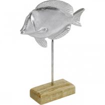 Peixe para colocar, decoração marítima, peixe decorativo em metal prateado, cores naturais A23cm
