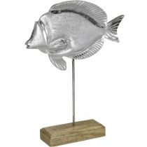 Peixe decorativo, decoração marítima, peixe em metal prateado, cor natural Alt.28,5cm