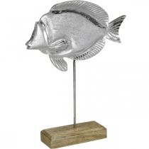 Itens Peixe decorativo, decoração marítima, peixe em metal prateado, cor natural Alt.28,5cm