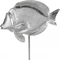 Peixe decorativo, decoração marítima, peixe em metal prateado, cores naturais A28,5cm