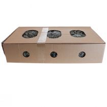 Itens Líquens, musgo de líquen, musgo de árvore, musgo decorativo, natural 1kg