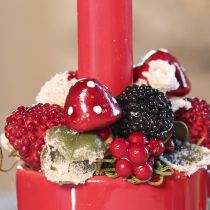 Itens Fly agaric em um fio 12 vols.