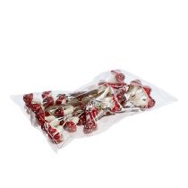 Itens Fly agaric em um fio 12 vols.