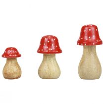 Itens Cogumelos decorativos Fly agaric cogumelos de madeira decoração de outono H6/8/10cm conjunto de 3