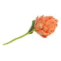 Itens Espuma de alcachofra laranja 14cm C28cm 1p