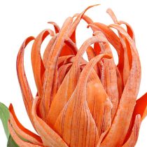 Flor de espuma laranja 12cm L30cm 1p
