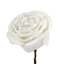 Espuma rosa branca com madrepérola Ø10cm 6 unidades
