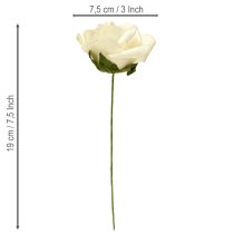 Itens Rosas de espuma com flores de caule creme de espuma Ø7,5cm 18 unidades