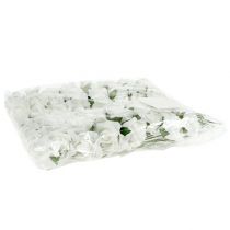 Itens Rosa de espuma Ø 3,5cm branca 48 un