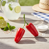 Itens Pimentas artificiais vermelhas no galho decoração vegetal C8cm