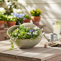 Itens Tigela de cerâmica com design de concha para decoração elegante na sala de estar, 23 cm