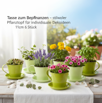 Itens Vaso para plantas, elegante e com design exclusivo, 11 cm, conjunto de 6 peças.