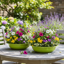 Itens Bandeja para plantio, ideal para decoração com plantas na sala de estar, 29 cm, conjunto com 2 peças.