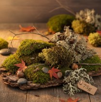 Itens Musgo decorativo para artesanato, musgo natural misto verde e verde claro, 75g