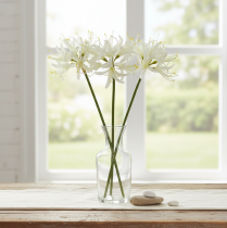 Itens Nerine Guernsey Lírio Flor Artificial Branco Amarelo Ø15cm C65cm