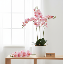 Itens Orquídea Phalaenopsis artificial 9 flores rosa branco 96cm