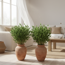 Itens Lagurus seco (rabo-de-lebre) 65-70cm 100g