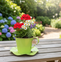 Itens Xícara de chá decorativa de metal com prato, verde claro, Ø12 A10cm, conjunto de 8 peças