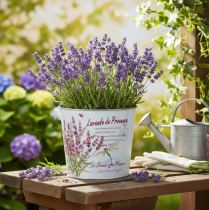 Itens Vaso de metal para plantas, floreira, lavanda, Ø21cm A18cm