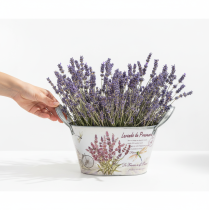 Itens Vaso oval de metal para flores com alças, lavanda, 26×13×14,5cm
