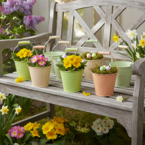 Itens Balde com alça, vaso para prímulas, metal, pastel, 11,5 x 8,5 cm, 8 peças