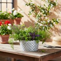 Itens Tigela de chapa metálica com alças de corda Ø18cm A10cm