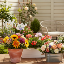 Itens Estacas decorativas em formato de regador para arranjos florais e decoração de varandas, 34 cm, pacote com 12 unidades.