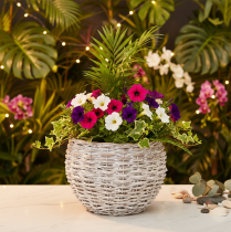 Itens Cesto redondo trançado, cesto decorativo grande para plantio, 23 cm