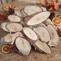 Itens Fatias de madeira de bétula Fatias ovais de bétula 4-9cm 450g