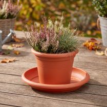 Itens Base para copos “Linda” Ø30cm terracota