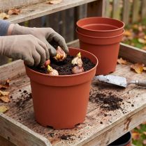 Itens Vaso de plástico Ø29cm 10 unidades