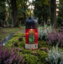 Itens Vela Grave Vela Memorial Compostável ICP Vermelha H20cm