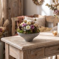 Itens Tigela decorativa com base, vaso redondo para plantas, cinza, Ø19cm, A8cm