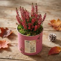 Itens Vaso de plantas decorativo, redondo, roxo, de metal, estilo vintage, Ø8cm, A7,5cm