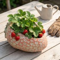 Itens Morango decorativo, vaso de plantas, decoração de concreto para plantio L17cm