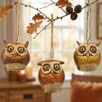 Itens Enfeites de coruja encantadores – Tons rústicos de marrom, 5,6 cm – Decoração perfeita para o outono e o Natal – Conjunto com 3 peças